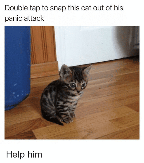 25+ Best Memes About Panic Attacks