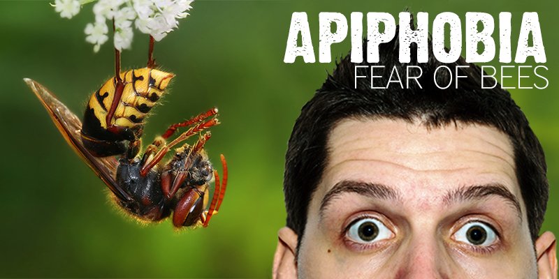 Apiphobia Fear of Bees