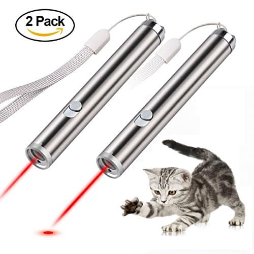 Are Laser Pointers Good, Safe Toys For Cats? Or Are They Bad?