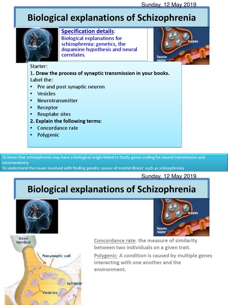 Biological Explanations of Schizophrenia