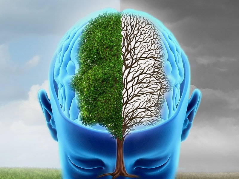 Bipolar Disorder Linked to Altered Brain Development