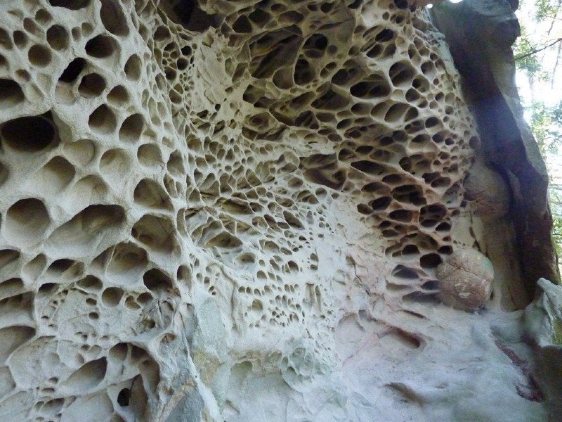 Do You Have Trypophobia: The Fear of Holes?  Cook It