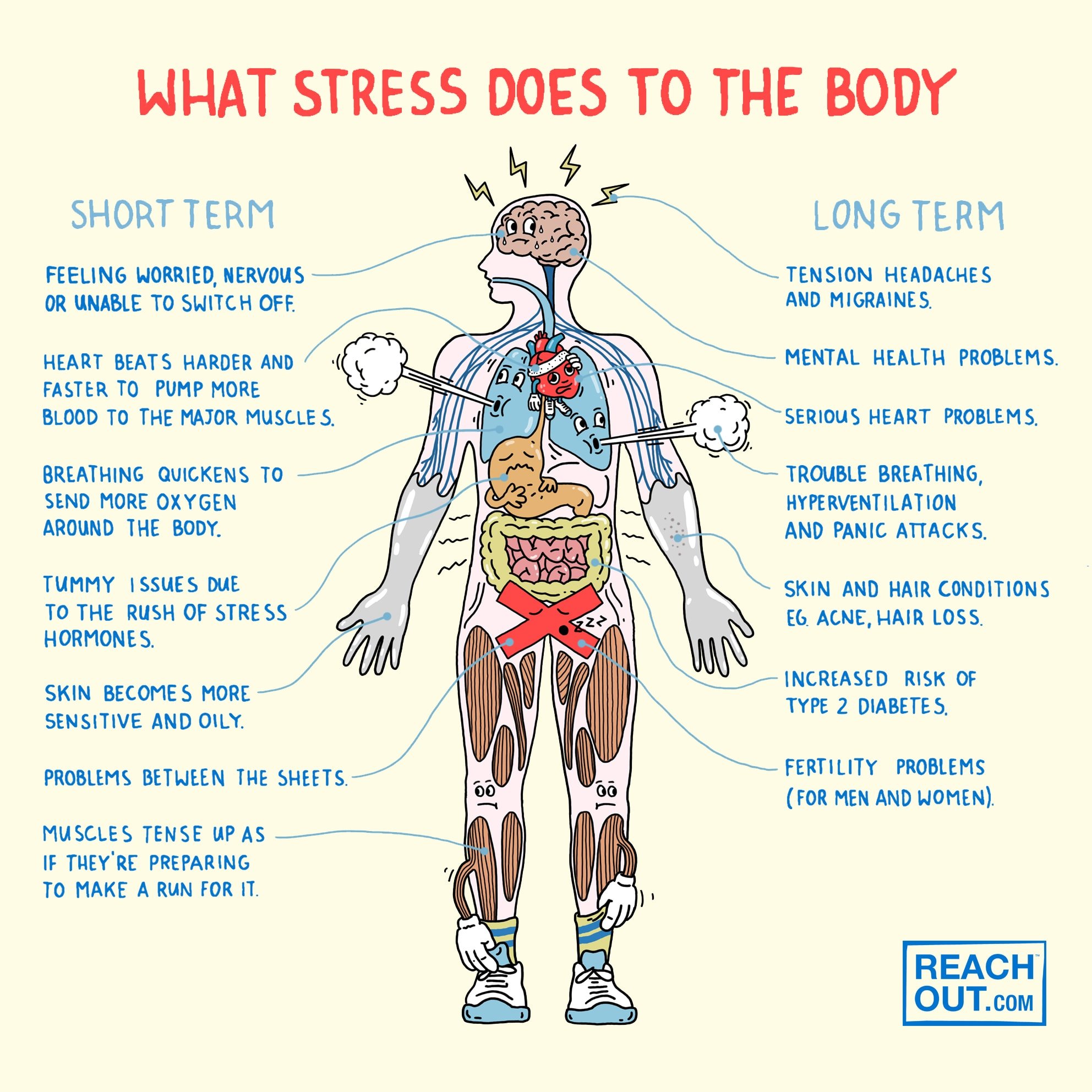 Effects of stress on the body