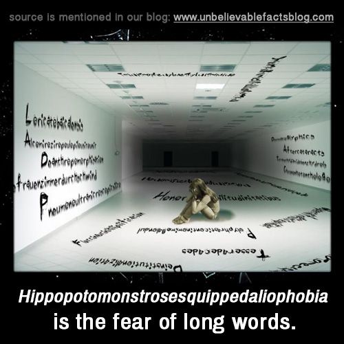 Hippopotomonstrosesquippedaliophobia is the fear of long ...