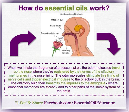 How do Essential Oils work?