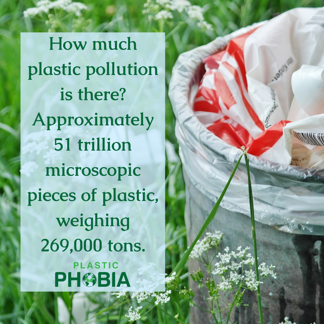 How much plastic pollution is there?