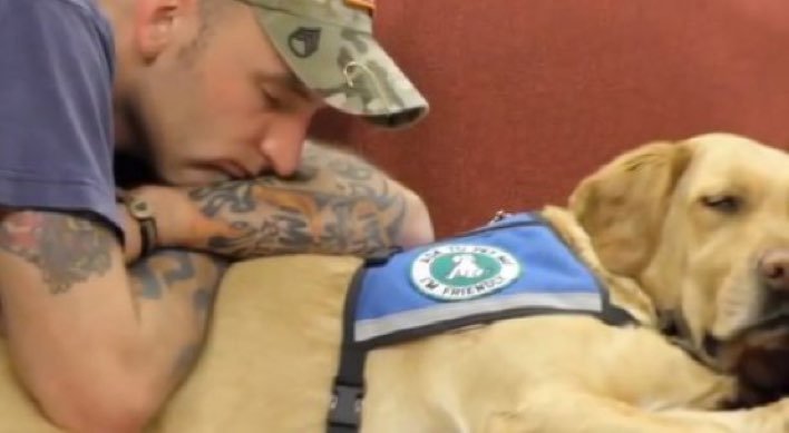 How PTSD Service Dogs Help Heal Wounded Warriors