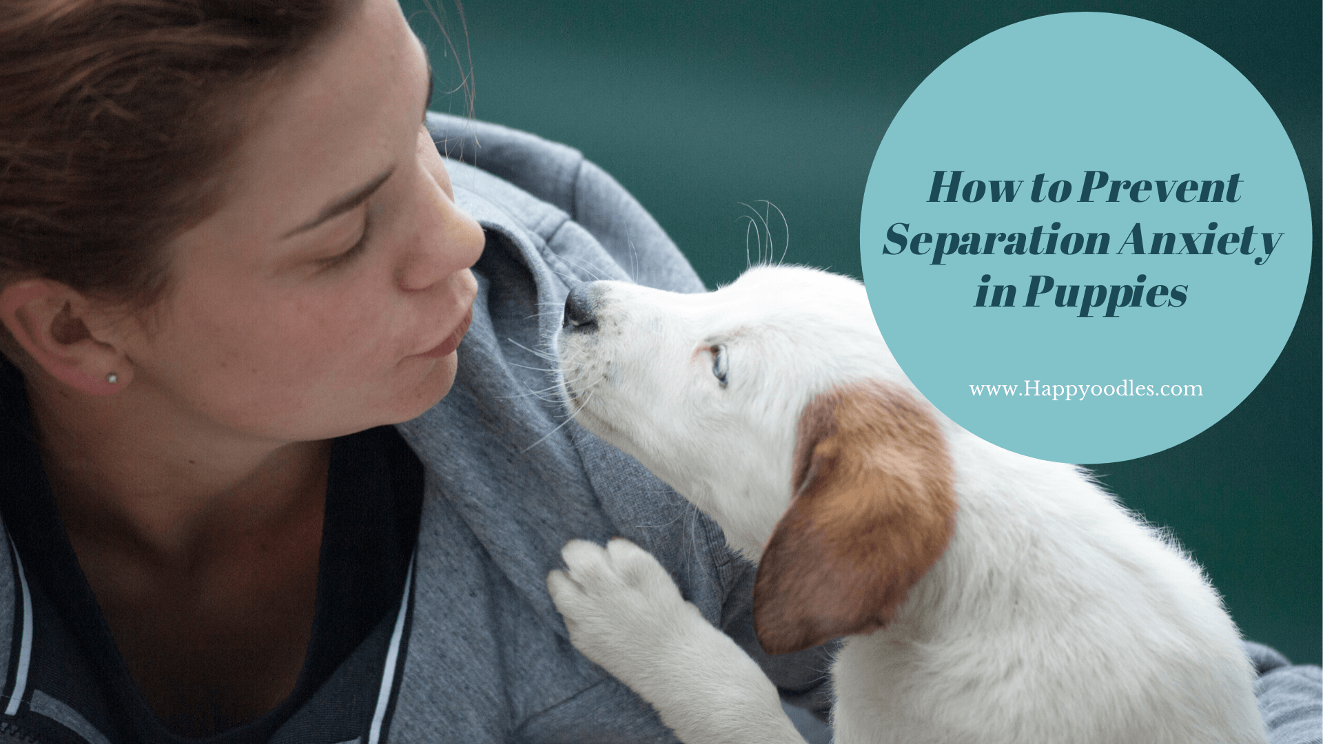 How to Prevent Separation Anxiety in Dogs