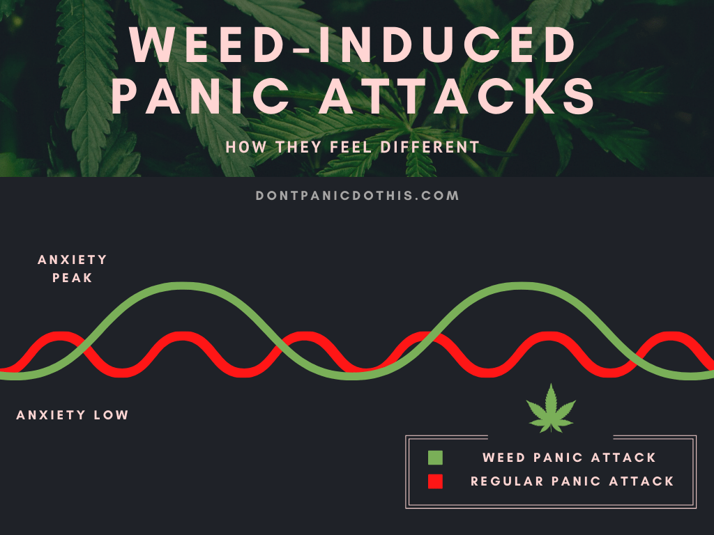 How to Stop a Weed Panic Attack While High: 14 Tricks