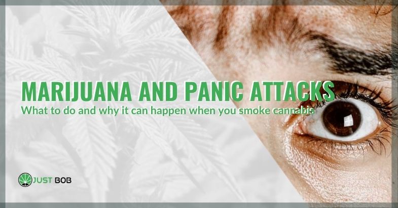 Marijuana and Panic Attacks: What Can Be Done?