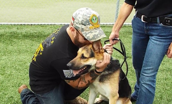 Service Dogs Bring Hope to Veterans Suffering from PTSD ...