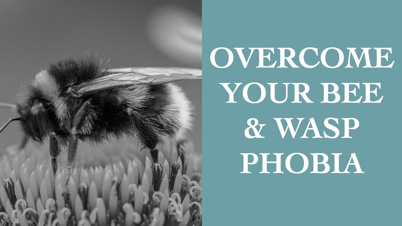 Simple Tips To Overcome Your Bee/Wasp Phobia I The ...