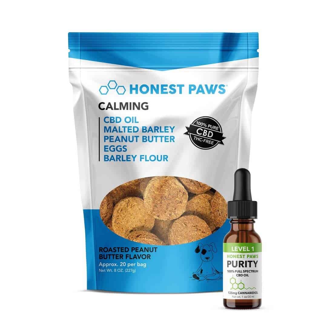 The 15 Best CBD Oils For Dogs With Separation Anxiety