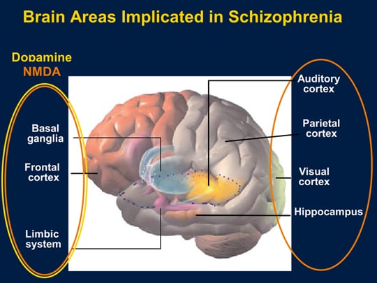 Unraveling the Complexities of Schizophrenia: New Targets ...