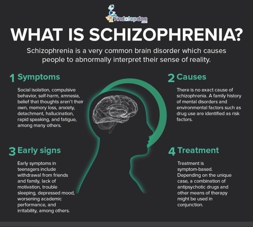 What are the Causes and Risk Factors for Schizophrenia?