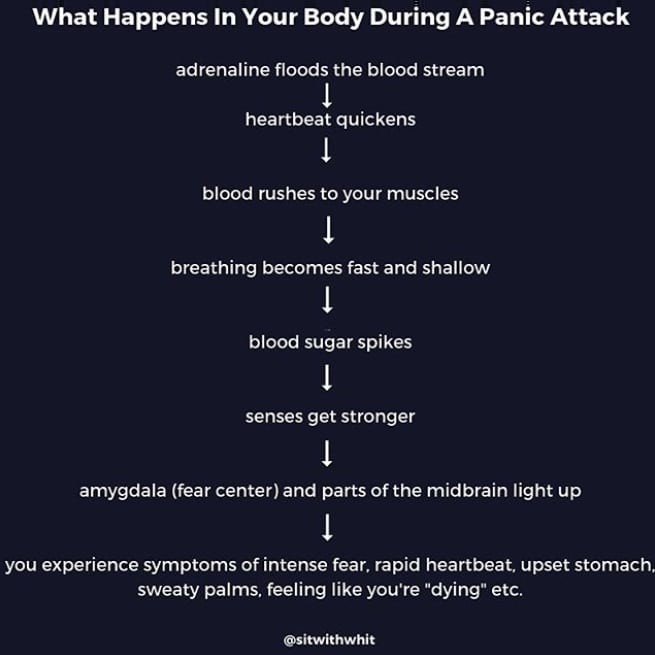 What Happens In Your Body During A Panic Attack : SelfCareCharts