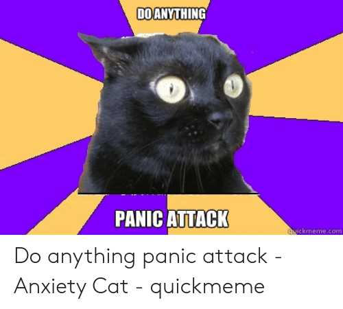ð?£ 25+ Best Memes About Anxiety Cat